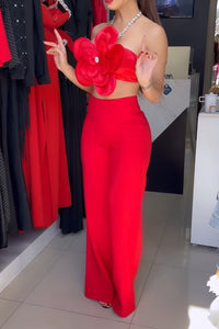 SET TRAJE FLOR TOP CRISTALES ROJO