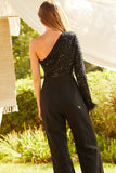 JUMPSUIT PALAZZO AKIRA PLUMAS NEGRO